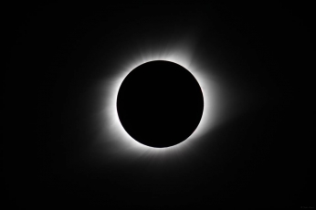 Artistes de l'eclipsi: 