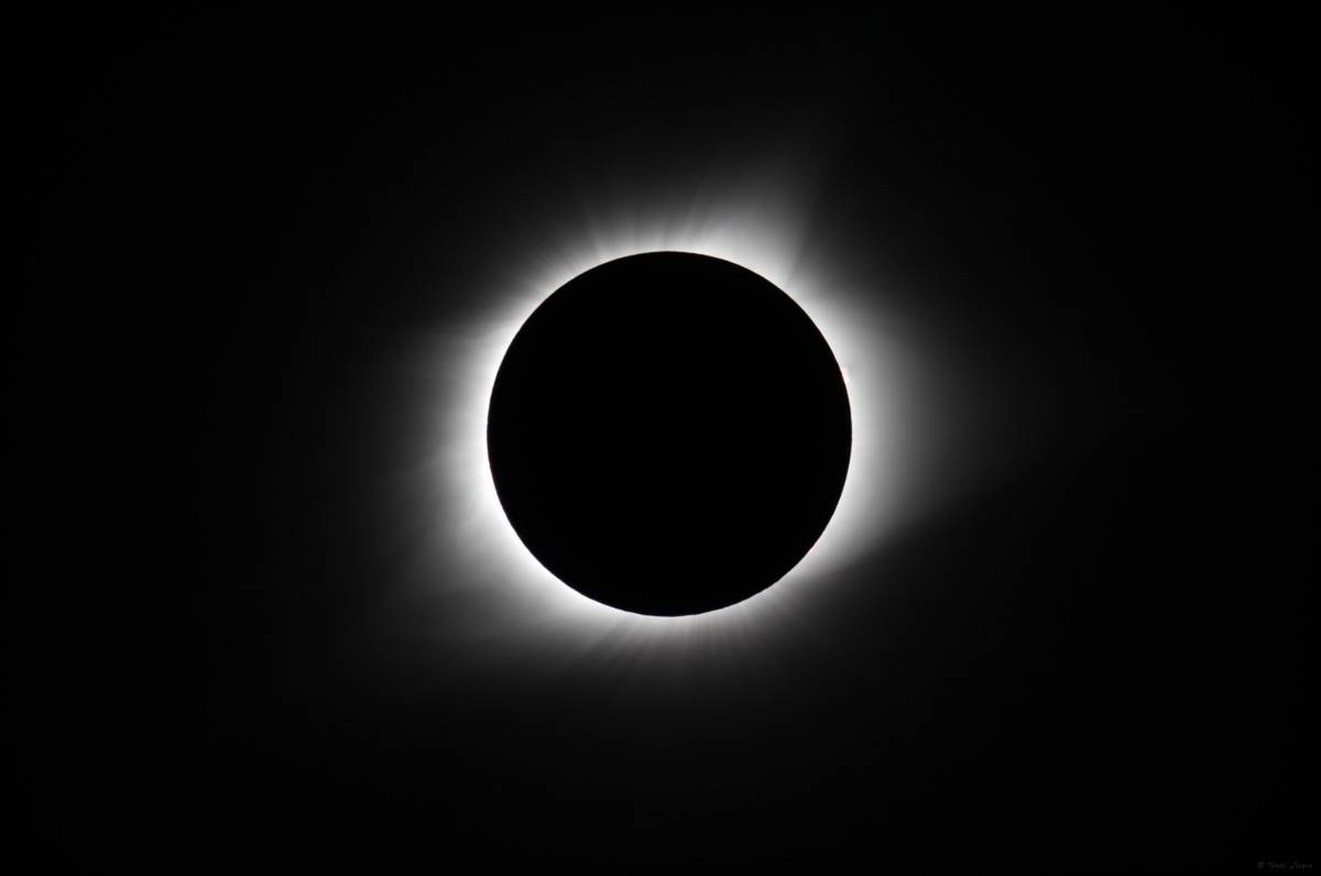 Artistes de l'eclipsi: 