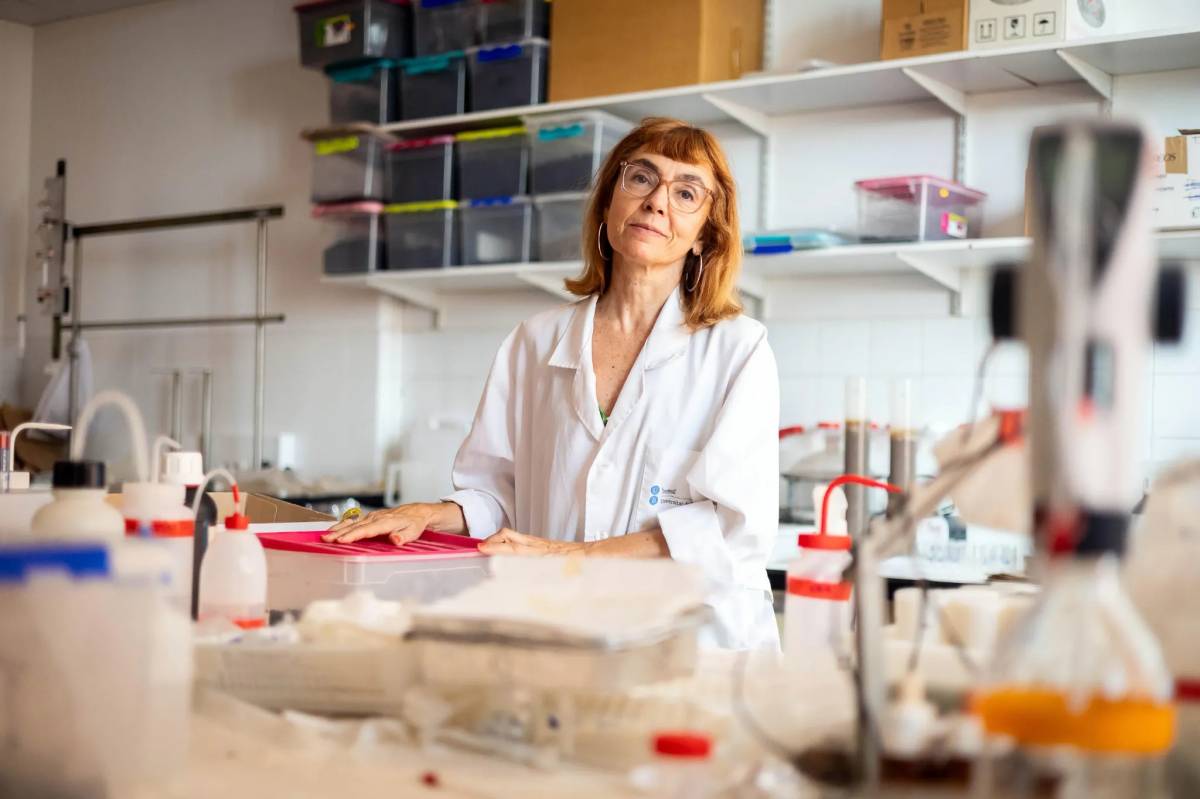 Beatriz Duguy, professora de la Facultat de Biologia de la UB: «Quan hi ha grans incendis es destinen molts diners a projectes de restauració sense sentit»