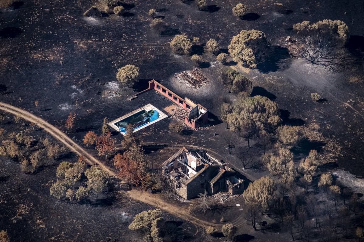 Incendi de Brieva a Segòvia - Greenpeace Handout / Pedro Armestre