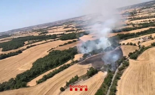 Els Bombers treballen en un incendi de vegetació agrícola a l'Anoia