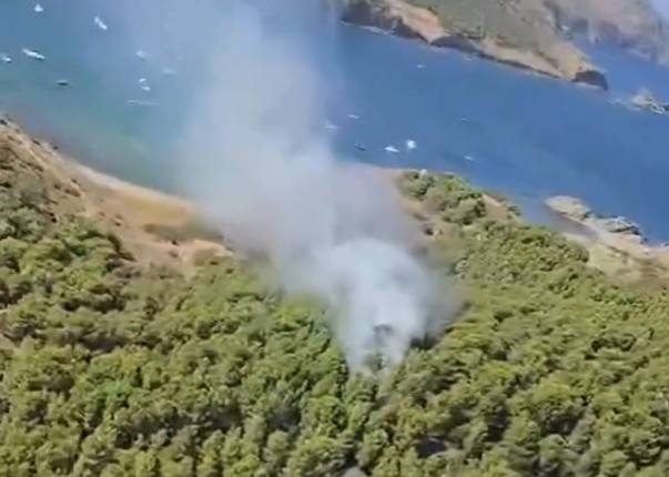 Declarat un incendi de vegetació forestal al Cap Ras de Llançà