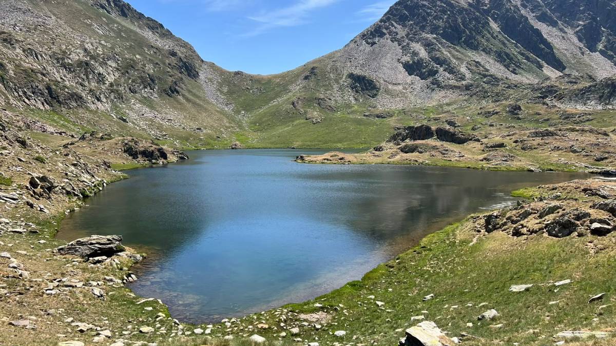 L'eliminació del veró ha estat total - Cedida a Nació