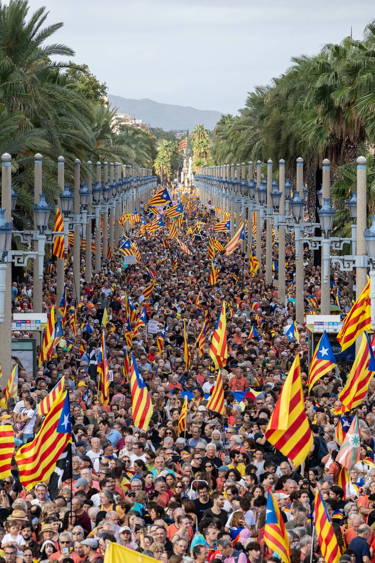 ERC demana explicacions a Marlaska pel retorn de l'independentisme a l'informe de l'Europol sobre terrorisme