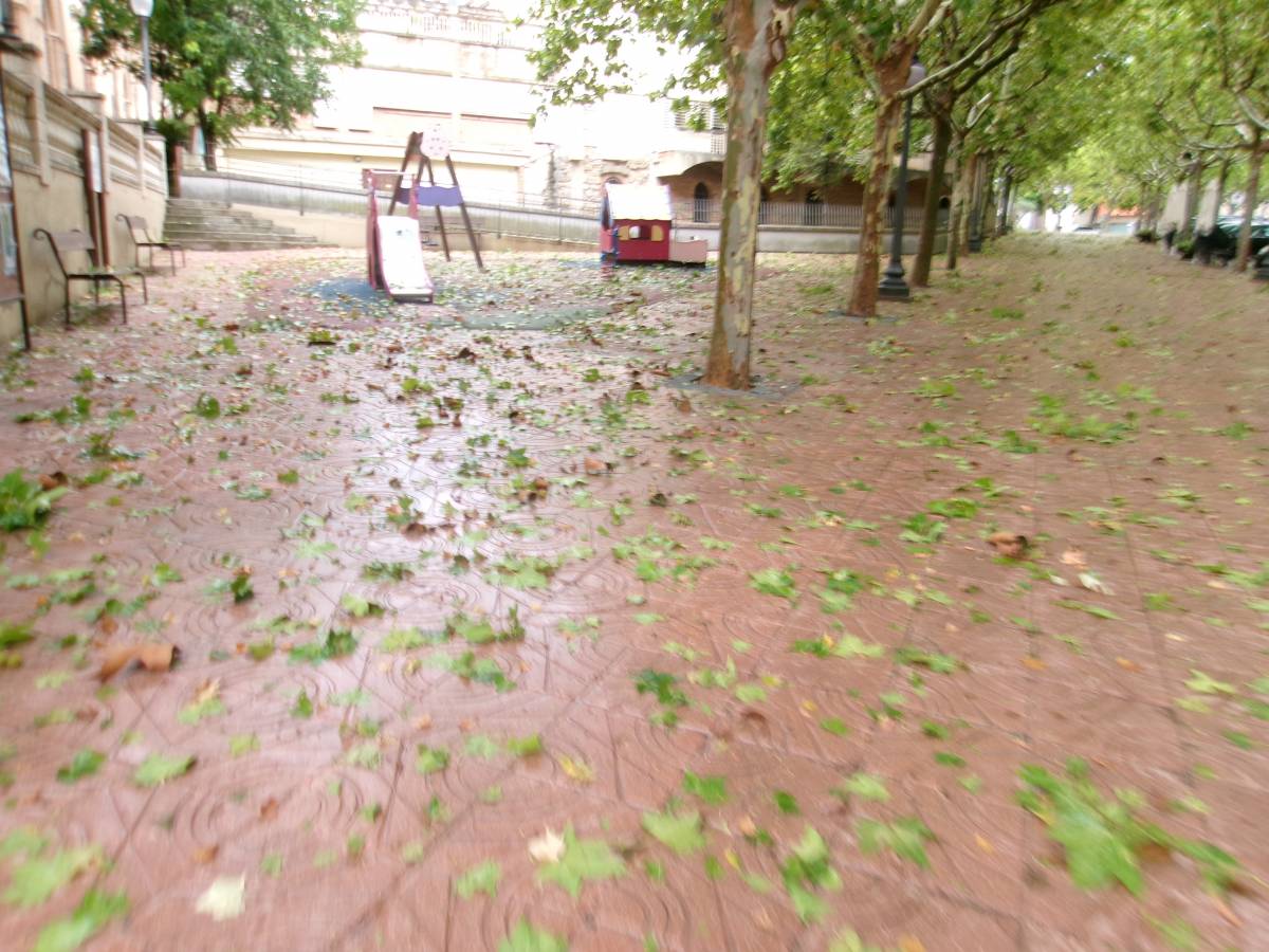 Els passeigs i carrers de Solsona han quedat coberts de fulles i branques dels arbres - Ramon Estany Els passeigs i carrers de Solsona han quedat coberts de fulles i branques dels arbres