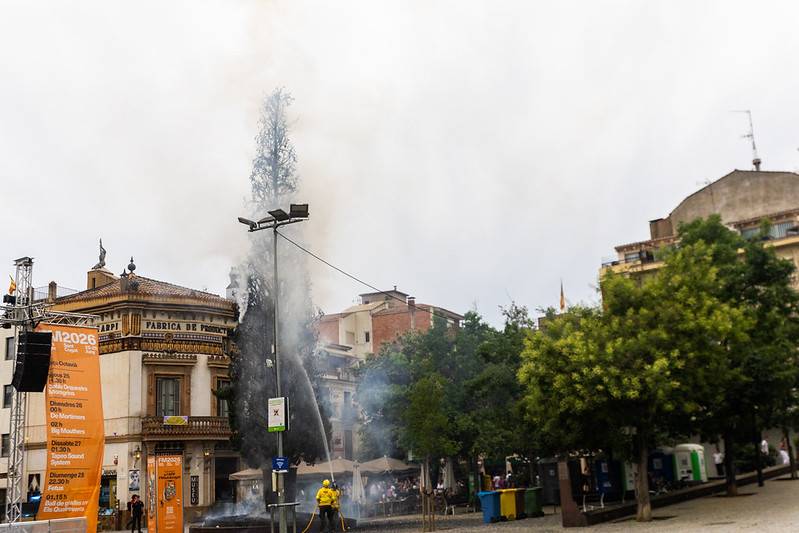 Talaran el xiprer de la plaça d’Octavià de Sant Cugat