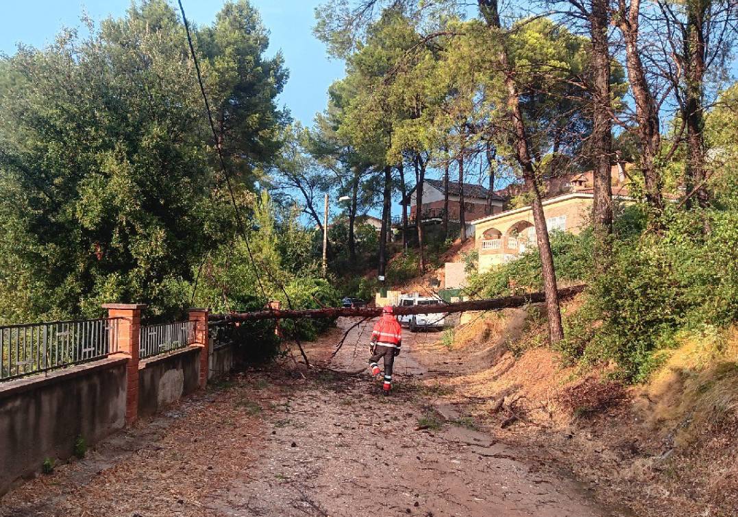 Les tempestes deixen fins a 80 litres i els Bombers atenen 200 avisos
