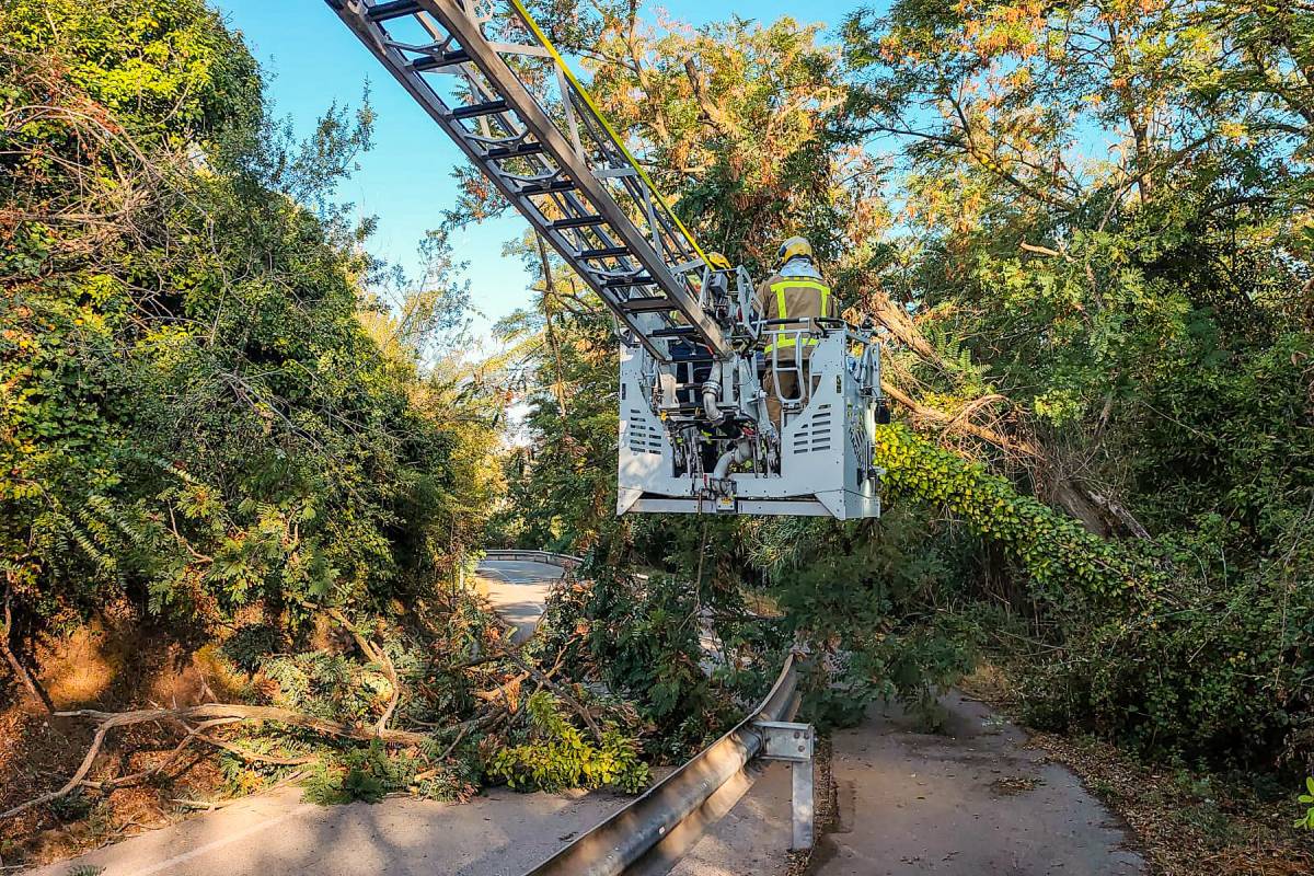 Dos arbres caiguts obliguen a tallar un tram de la carretera de Caldes de Sabadell