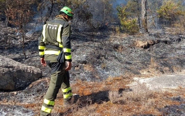 Cinc dotacions dels Bombers treballen en un incendi a Gaià