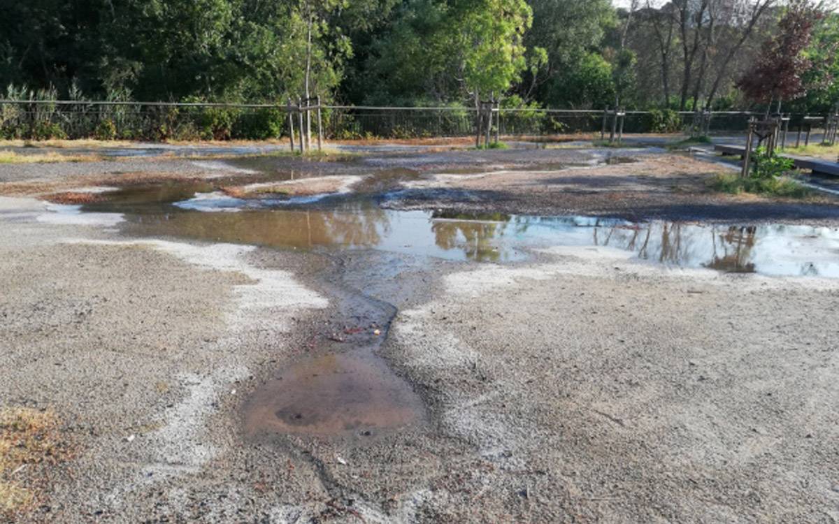 La salmorra torna a vessar al passeig del Riu de Manresa i amenaça els arbres de l'entorn