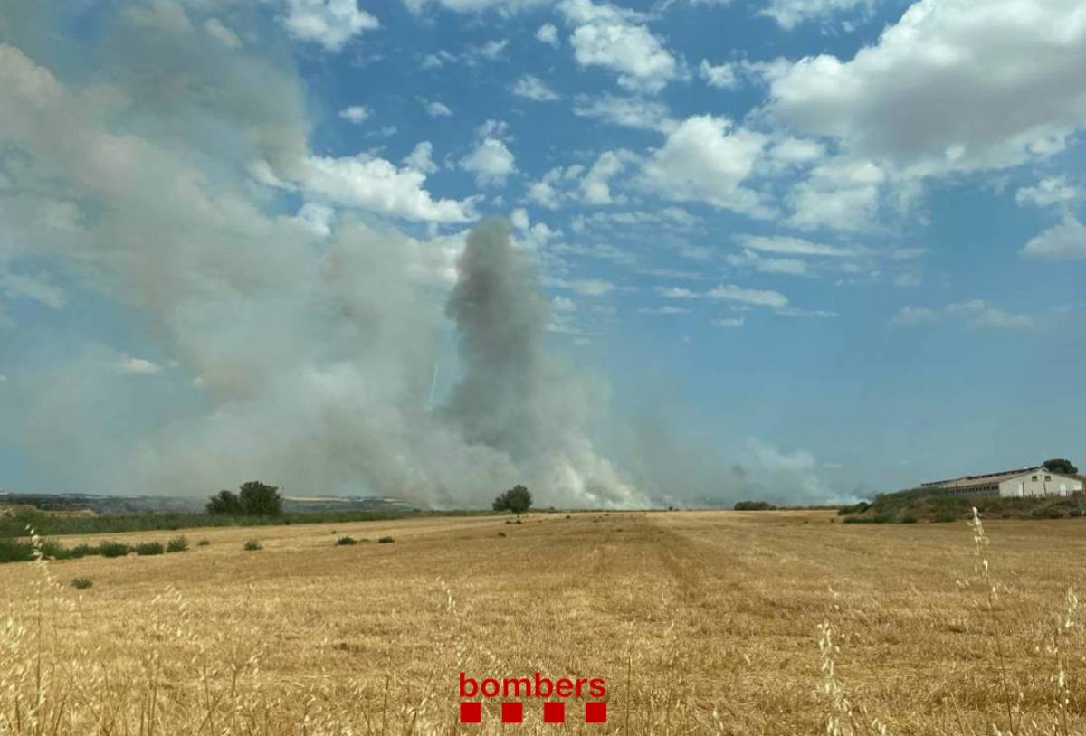 Els Bombers treballen en un incendi en un camp segat a Agramunt