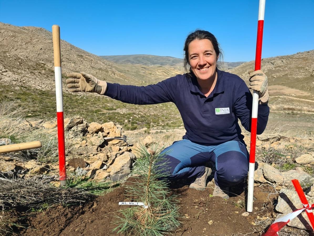 Cristina Aponte, especialista en l’impacte del foc al sòl: «Un incendi d’alta intensitat pot provocar la pèrdua del 50% de la diversitat de fongs»