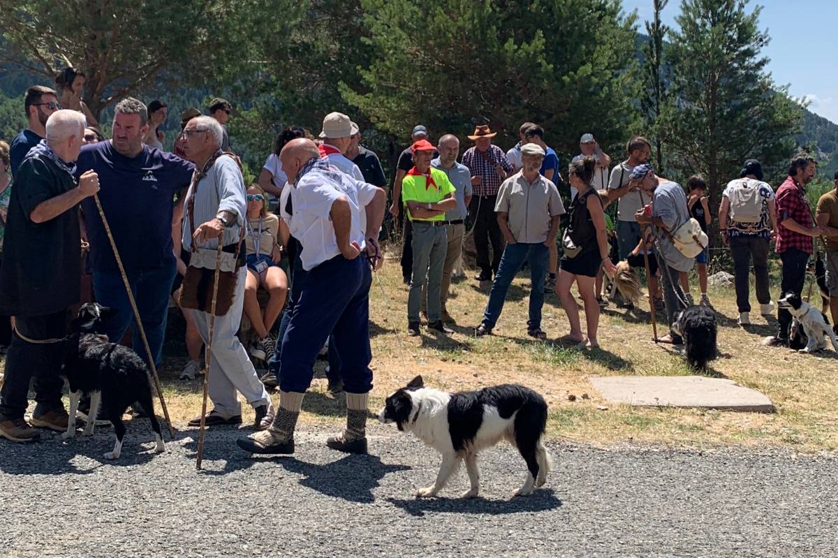 Triple empat i emoció fins al final al Concurs de Gossos d’Atura d’Odèn