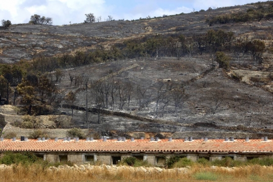 Estabilitzat l’incendi forestal de Tírig després de tres dies actiu