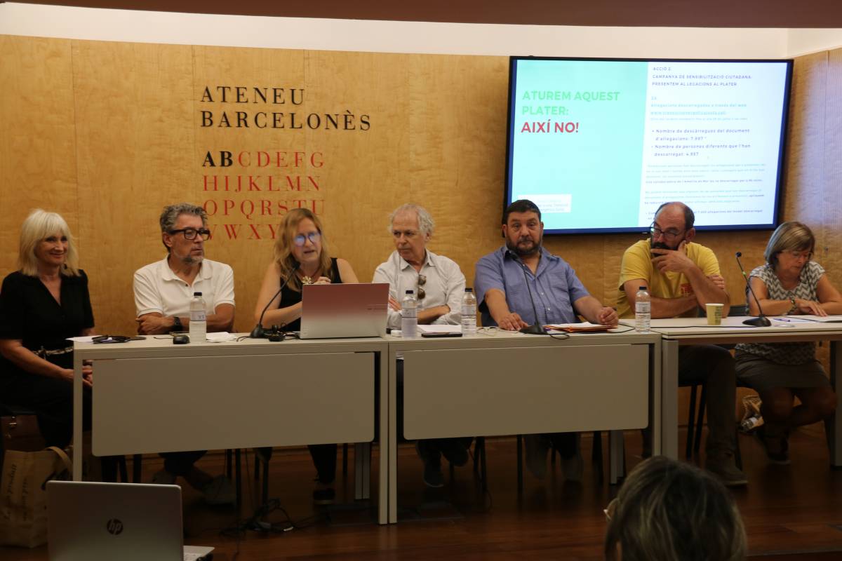 Consells comarcals, municipis i entitats reclamen la retirada del Plater i aturada immediata dels projectes de renovables a Catalunya