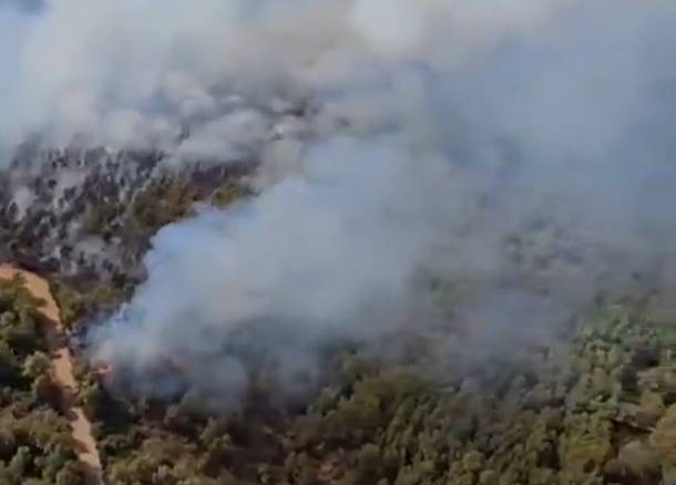 Els Bombers treballen en un incendi forestal a l'Alt Penedès