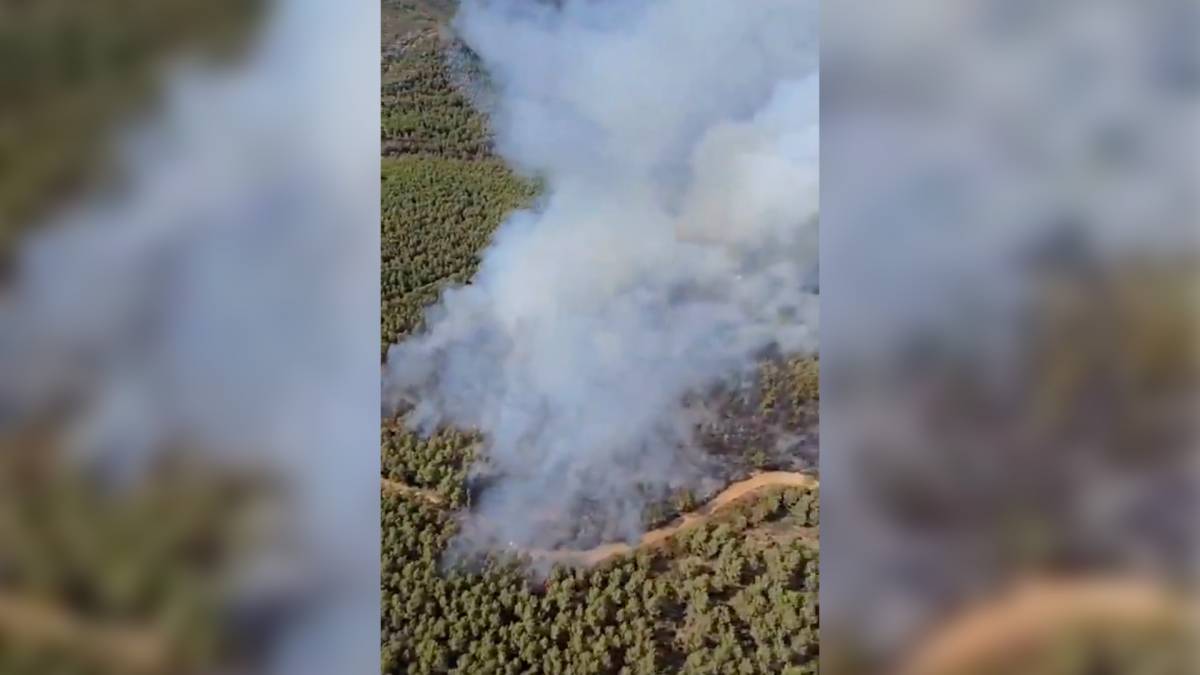 Els Bombers treballen en un incendi forestal a l'Alt Penedès