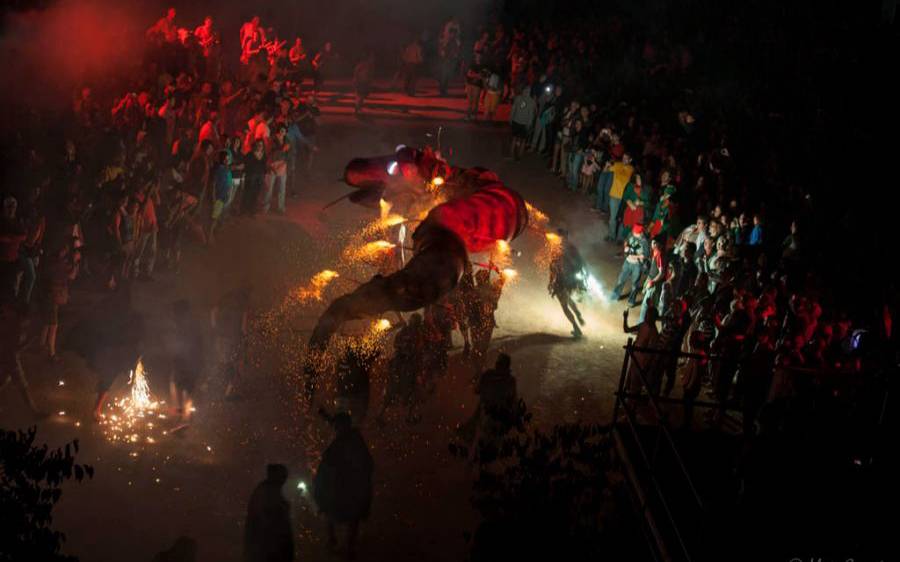 Tot allò que has de saber de la Festa del Serpent de Manlleu