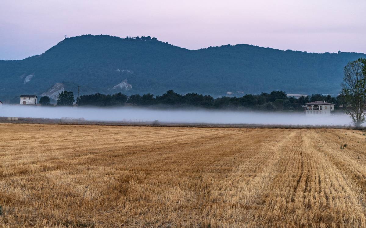 Estiu 2026 a Osona i el Lluçanès: albada i boirina a Malla. - Emili Vilamala Estiu 2026 a Osona i el Lluçanès: albada i boirina a Malla.