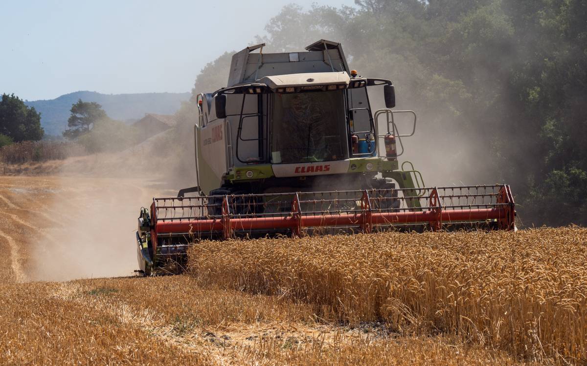 Estiu 2026 a Osona i el Lluçanès: un tractor segant el camp. - Emili Vilamala Estiu 2026 a Osona i el Lluçanès: un tractor segant el camp.