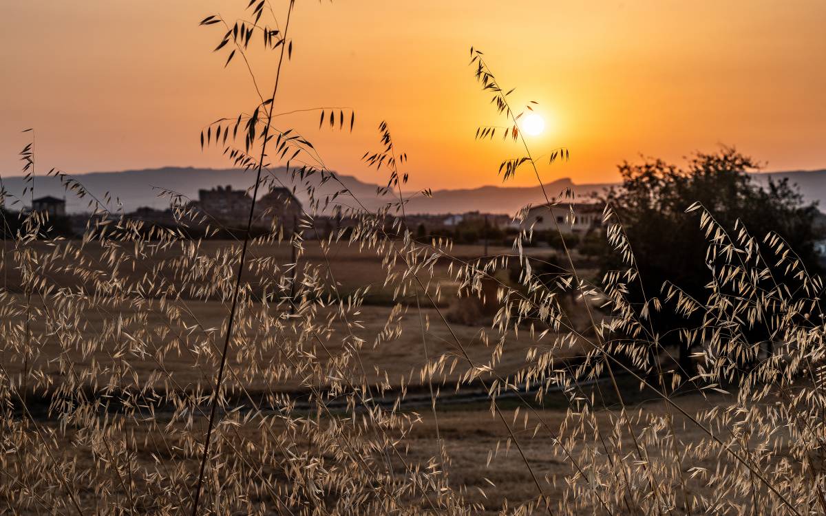 Estiu 2026 a Osona i el Lluçanès: camps, des de Vic. - Emili Vilamala Estiu 2026 a Osona i el Lluçanès: camps, des de Vic.