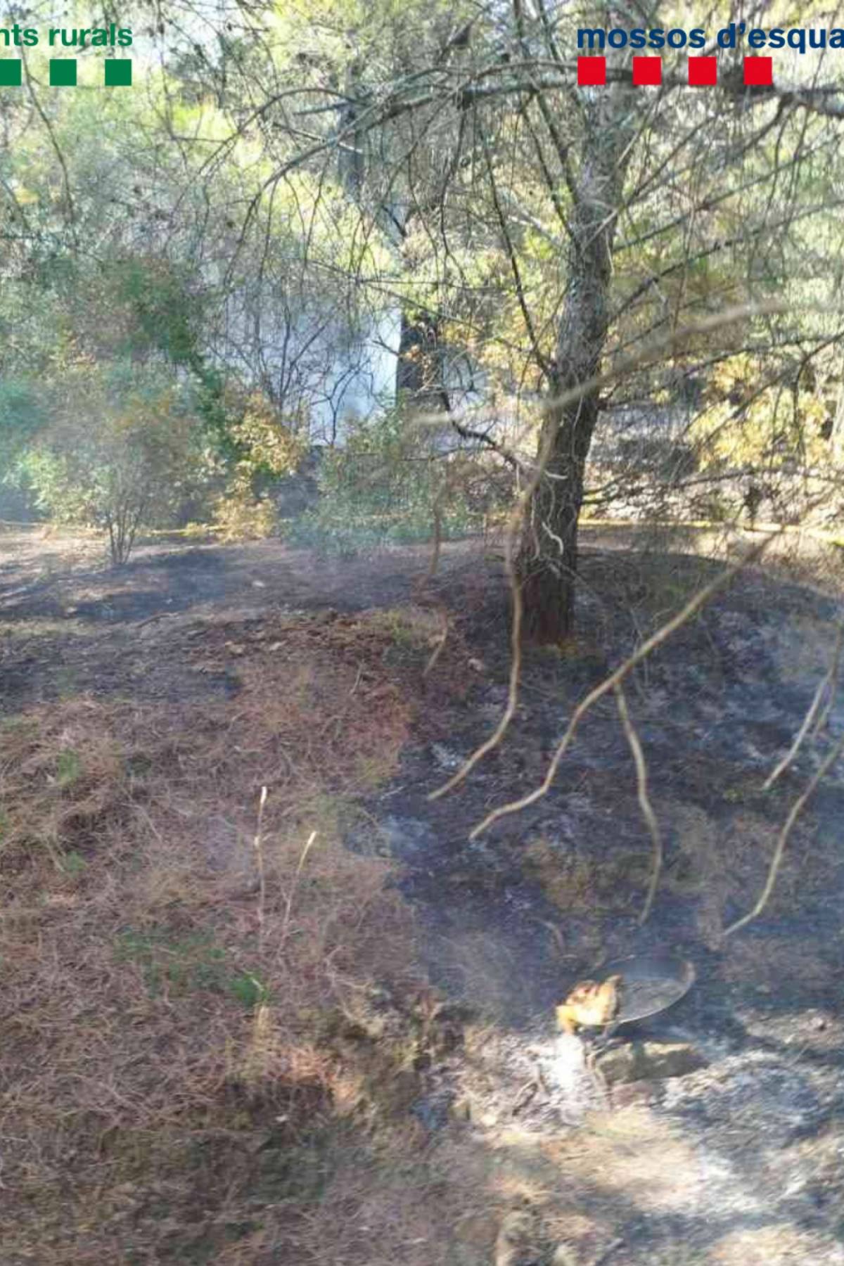 Detenen una dona que va provocar un incendi a Llançà per cuinar enmig del bosc