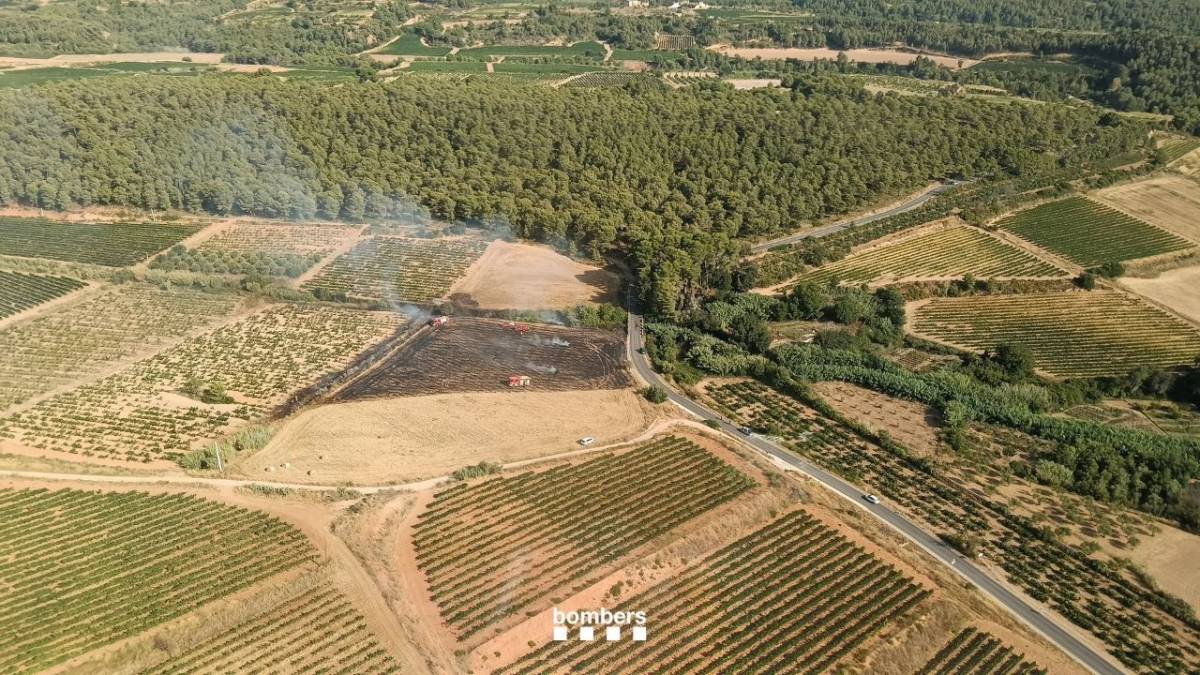 Els Bombers treballen en un incendi en una zona de vinyes a Aiguamúrcia