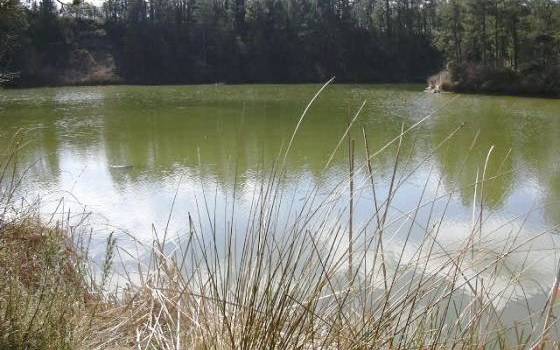 L'Ajuntament d'Olost recomana no beure ni cuinar amb aigua de l'aixeta per presència de manganès