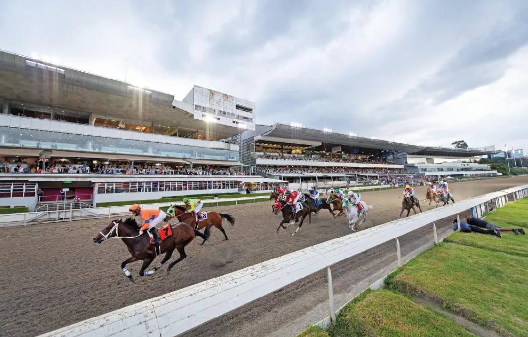 "Sabadell has the power": Dos cavalls de nom Sabadell campions a Mèxic 2010 i Sudàfrica 2015