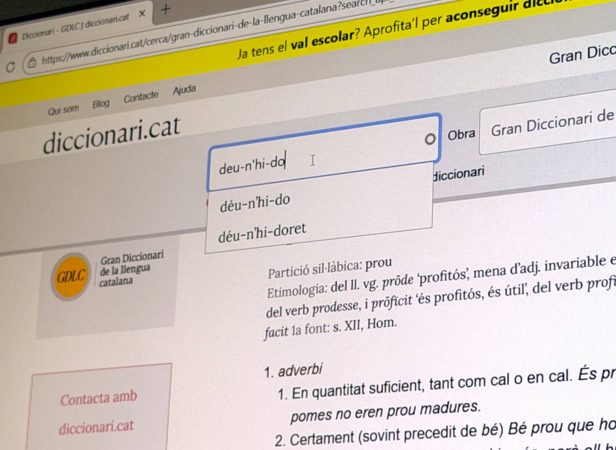«Déu-n’hi-do» o «biaix»: les paraules més consultades al diccionari el 2025