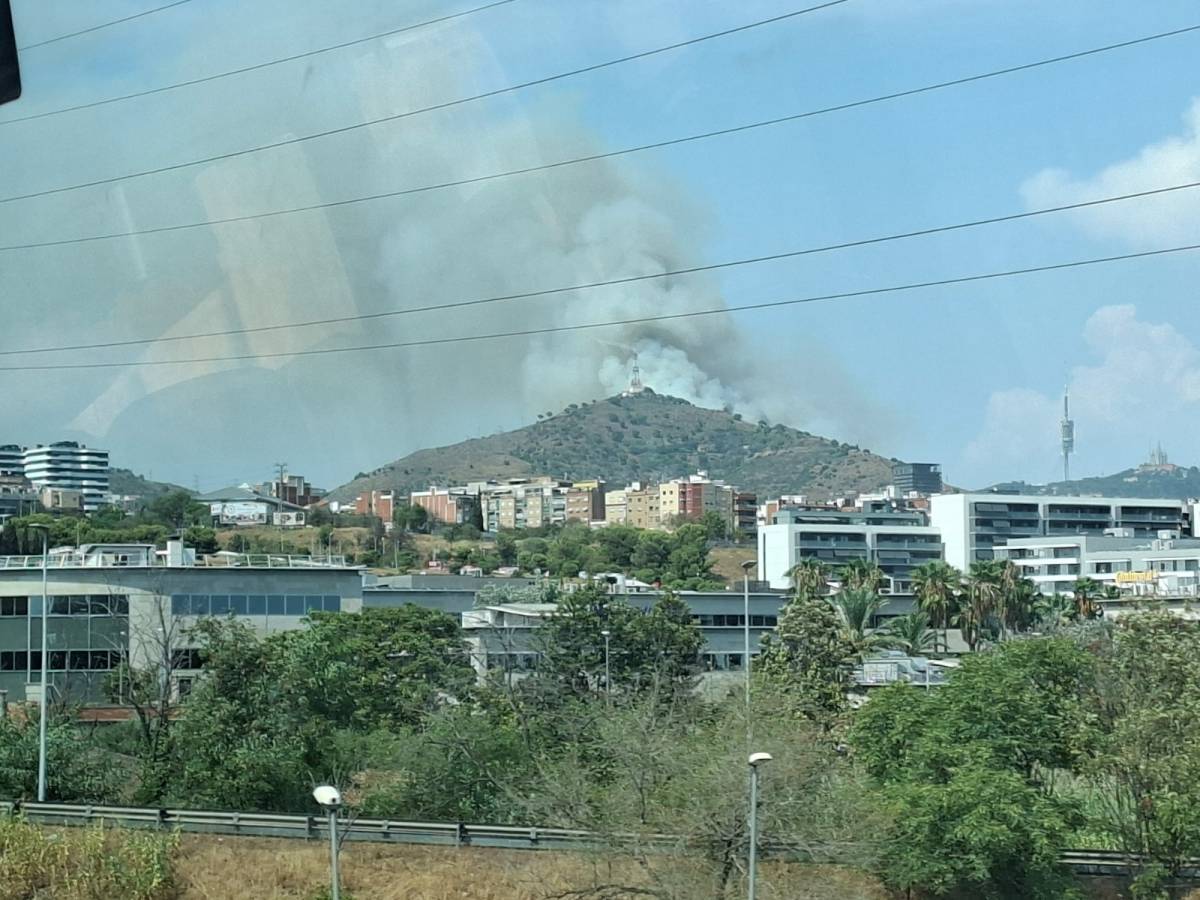 Crema un incendi forestal a Collserola