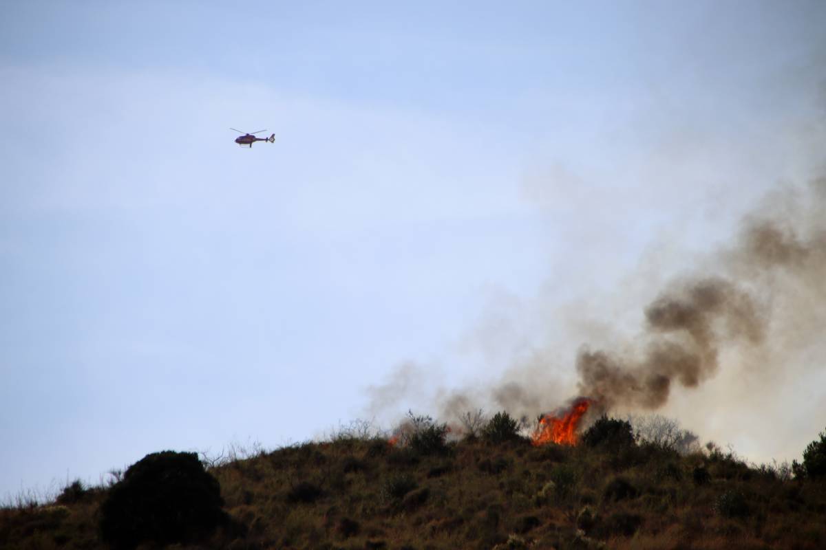 Encara crema l'incendi forestal a Collserola