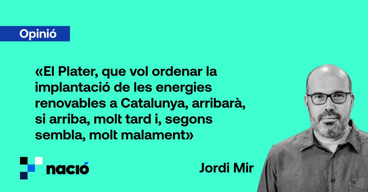 L’herba groga i el Plater verd