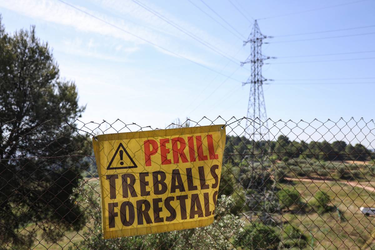 "És una qüestió de seguretat": per què les apagades elèctriques tarden més a restablir-se a l'estiu?