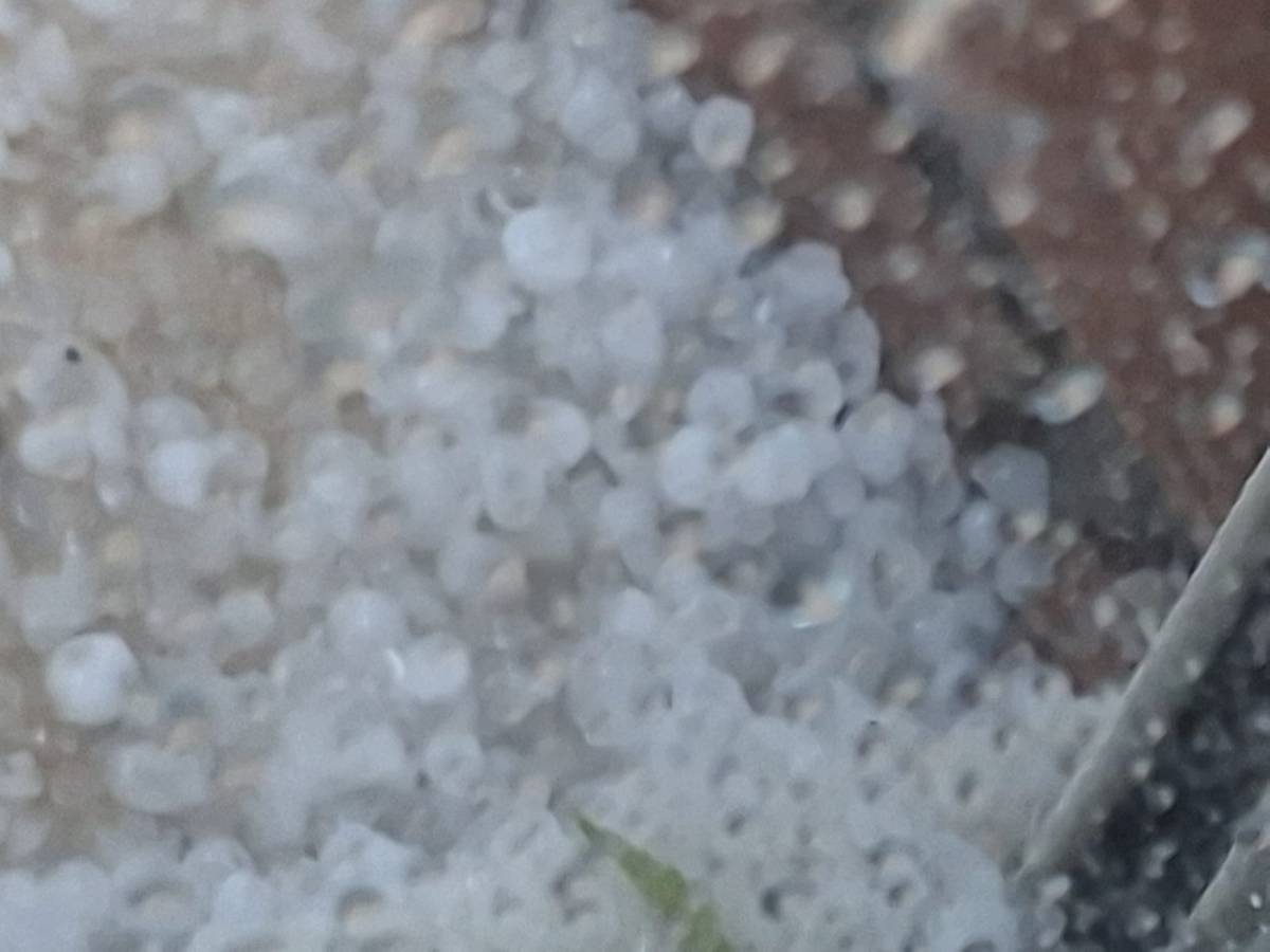 La tempesta de calamarsa sorprèn Terrassa: 