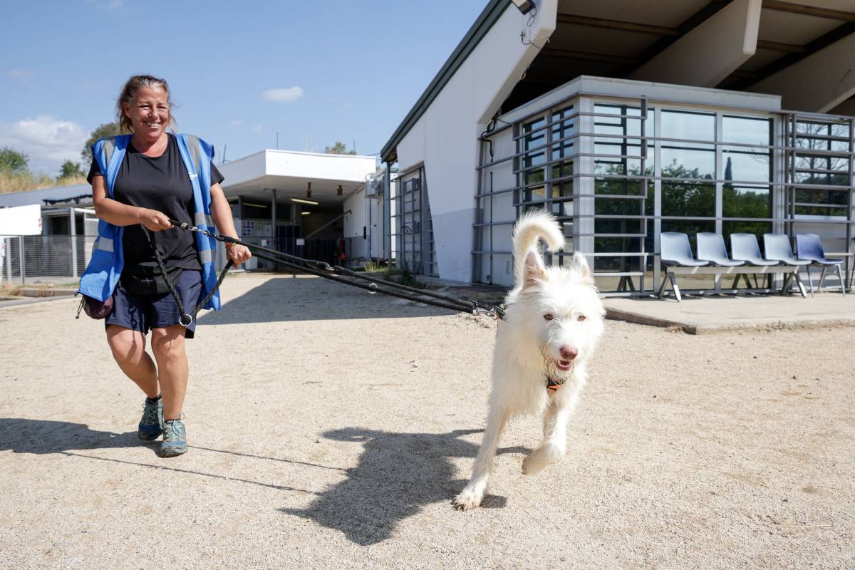 Nebulitzadors i més reixes de ventilació: El CAAD posa mitjans per controlar la temperatura a l'estiu
