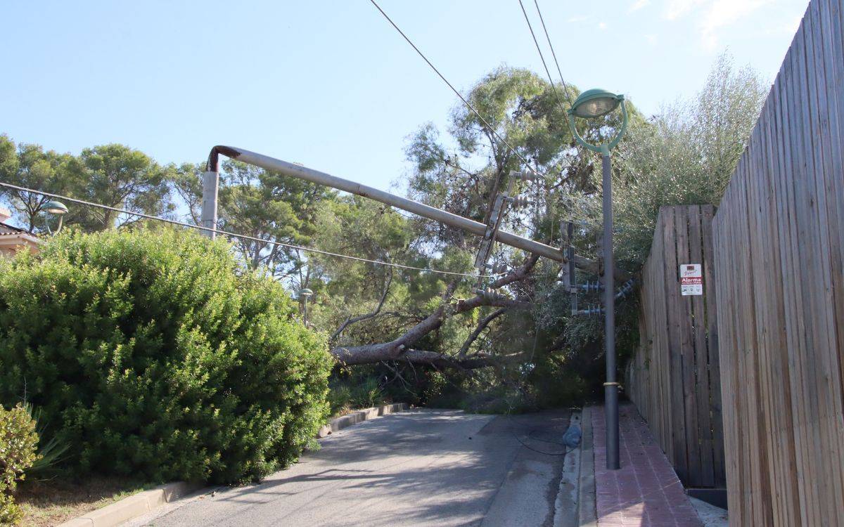 Uns 700 abonats d'Endesa a Tarragona continuen amb afectacions per la tempesta d'aquest dilluns