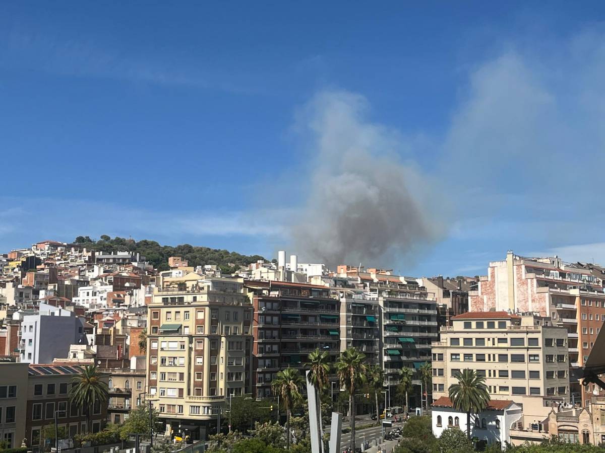 Un incendi crema al Parc de Collserola