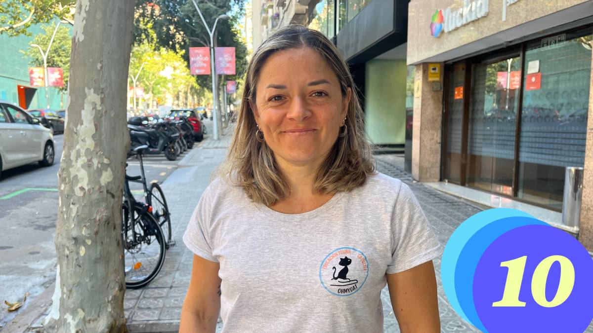«Els gats són els meus mestres»