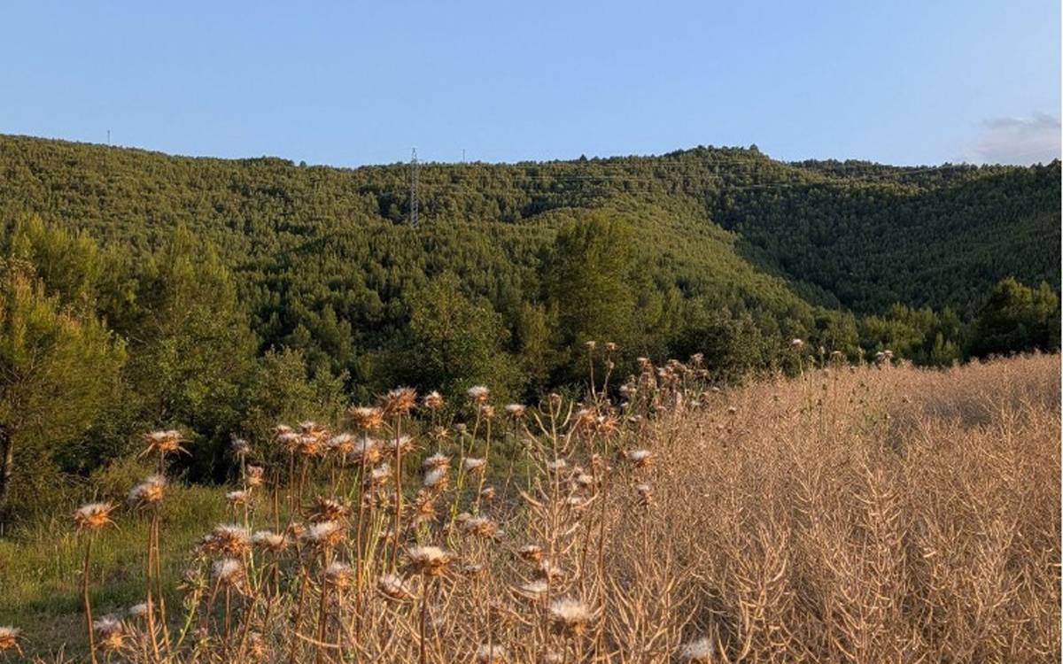 Cardener Viu es constitueix per oposar-se a la planta de biogàs de Sant Mateu de Bages