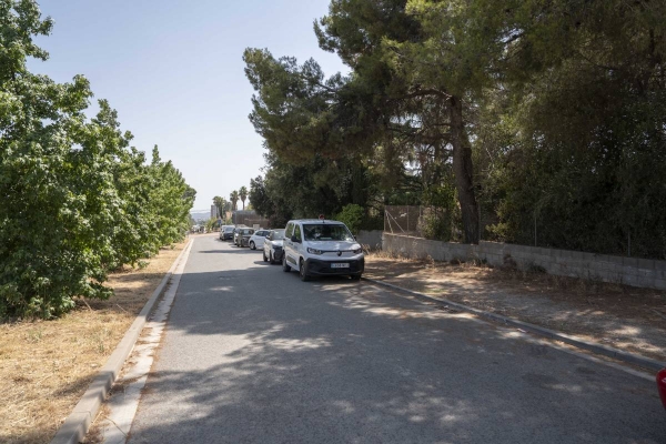 Carrer de Concepció Camí Soler: la creadora de paisatges fascinants