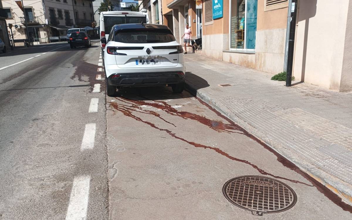 Un vessament de sang d'un camió de residus obliga a activar un ampli dispositiu a Moià