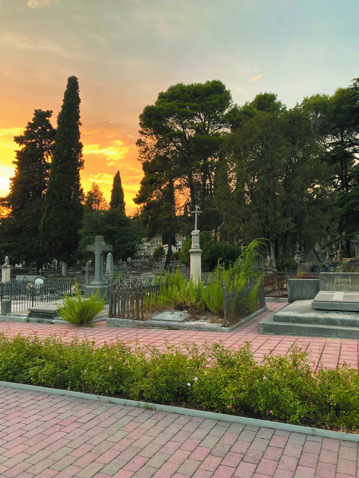 “El cementiri a l’agost: silenci, ombra i memòria” 