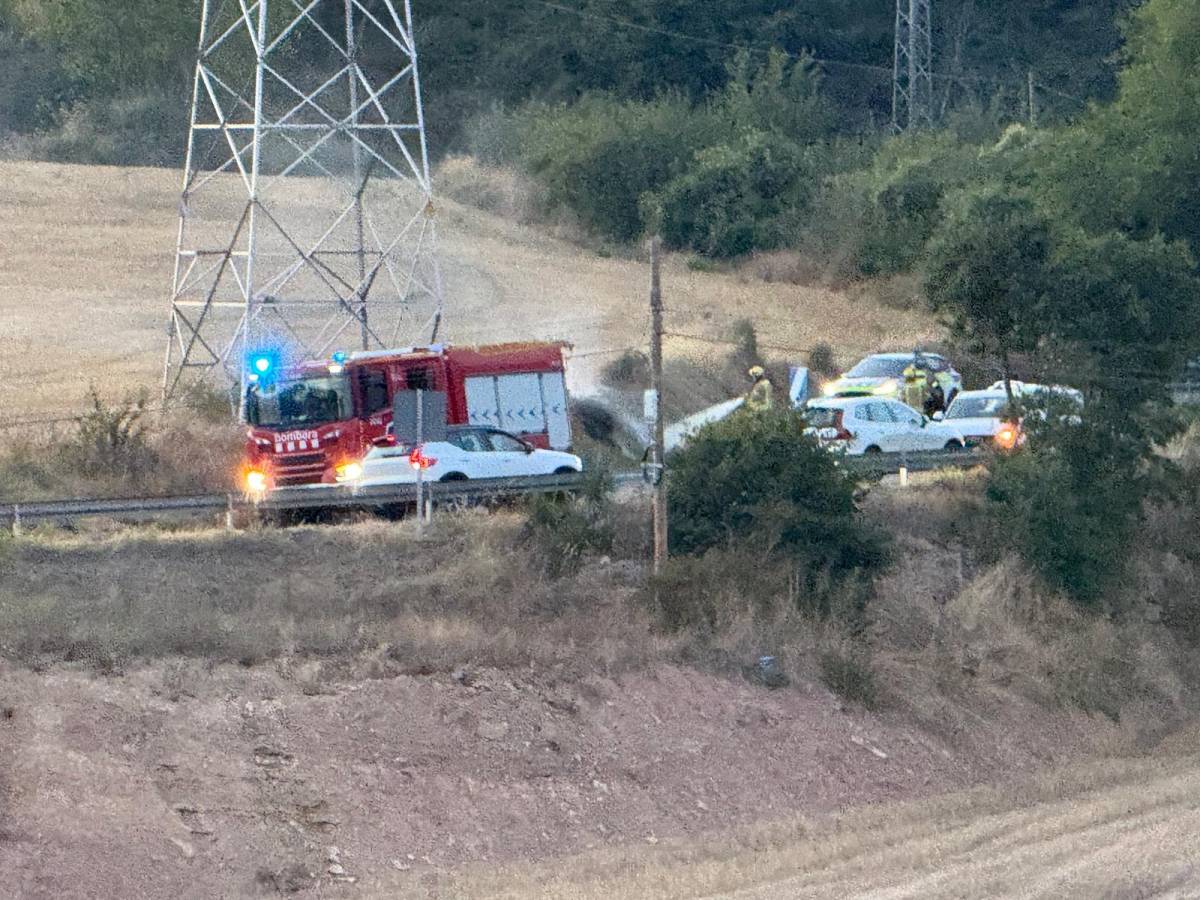 Una cigonya xoca amb cables d’alta tensió a Solsona i desencadena un foc la nit de dilluns