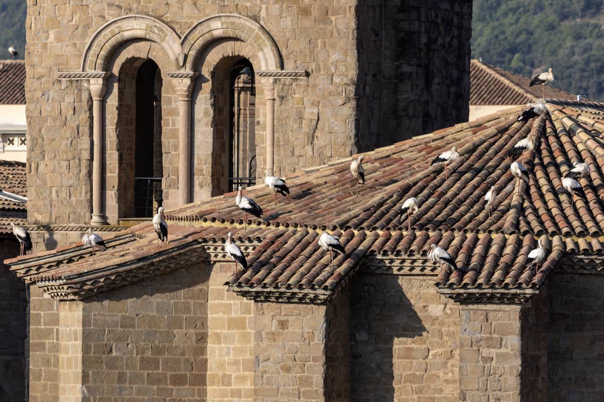 Marià Jounou 