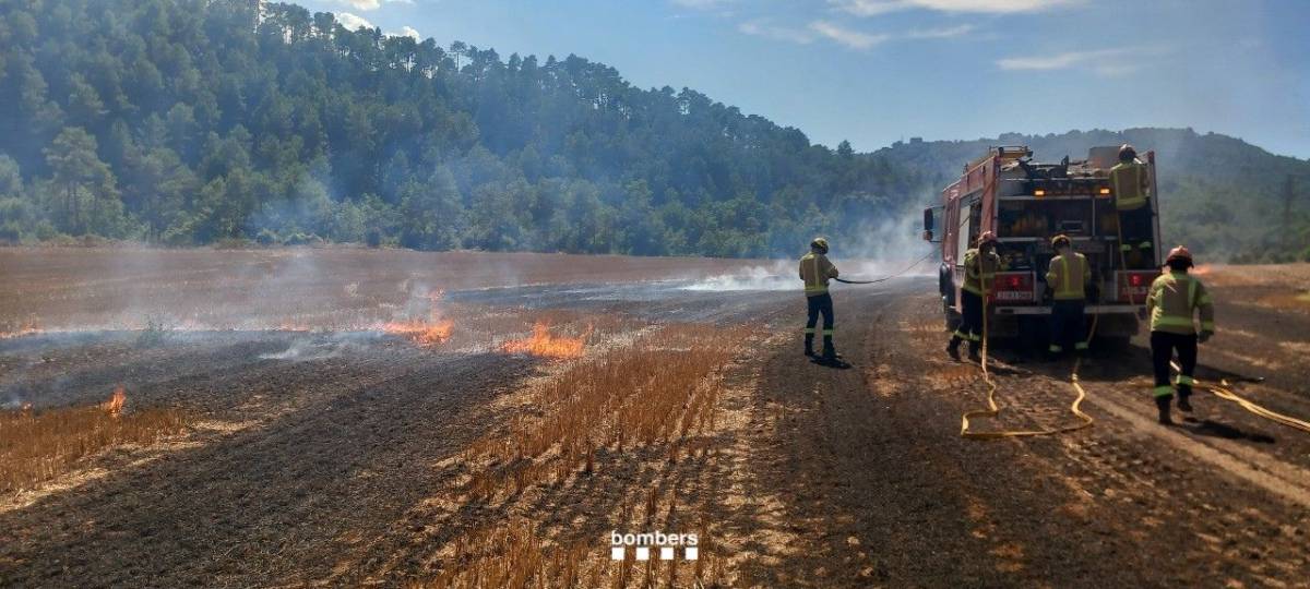 Els Bombers apaguen un incendi de rostolls en un camp proper a la C-55 a Clariana de Cardener