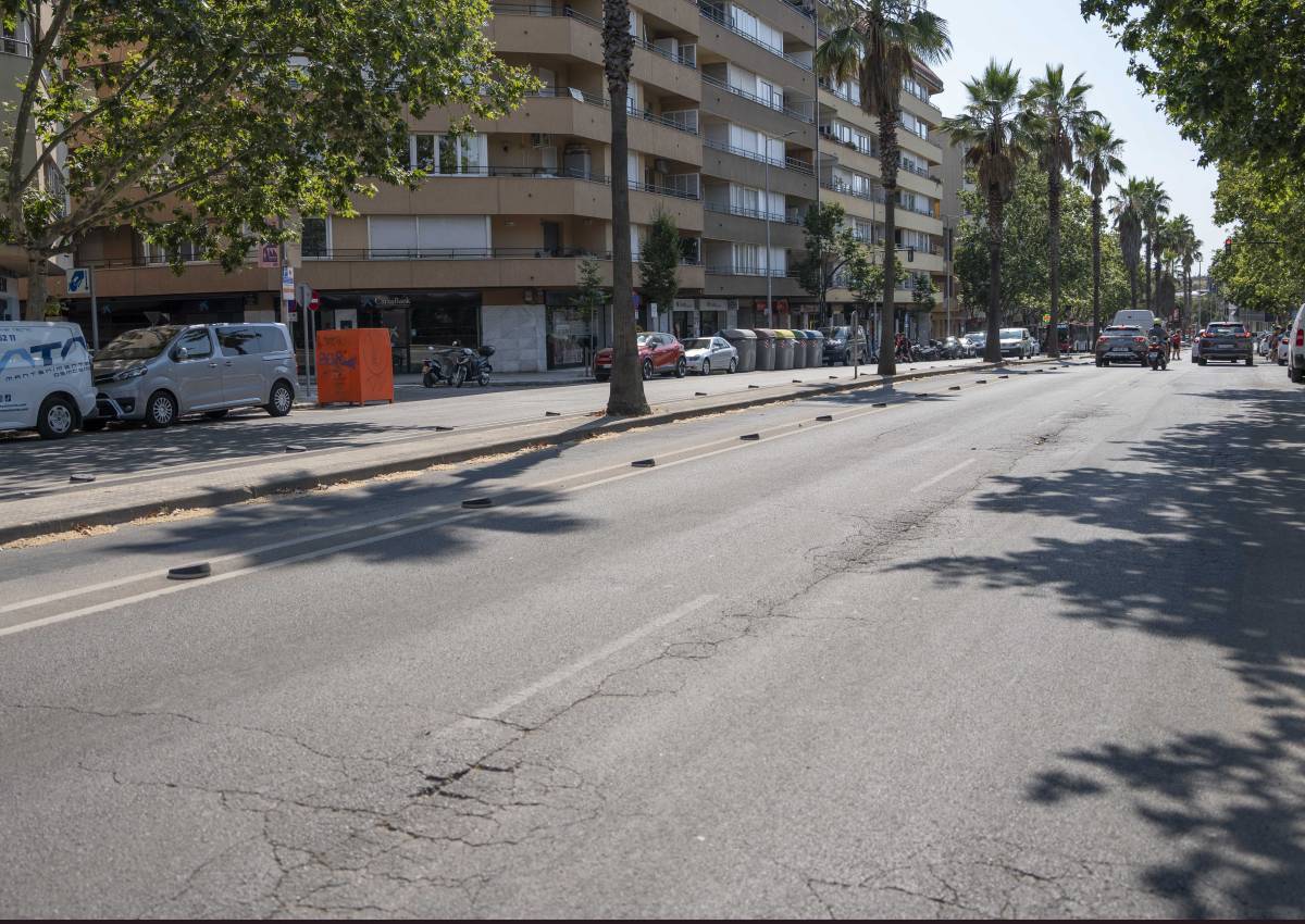Avinguda de l’Abat Marcet - Alberto Tallón Avinguda de l’Abat Marcet