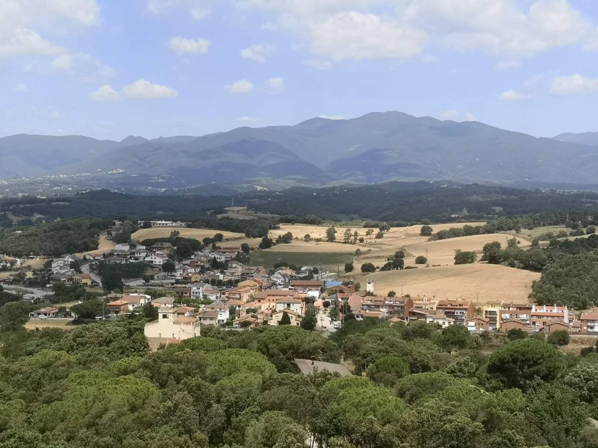 Per què Palau i Vallgorguina són una mica més petits?