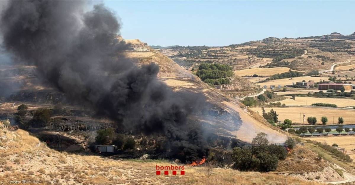 Una quinzena de dotacions de Bombers treballen en un incendi de vegetació a Cervera