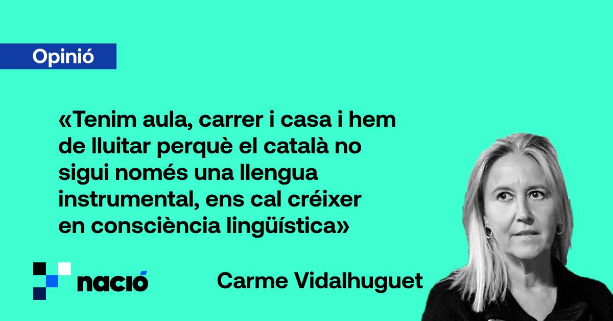 Aules i llengua